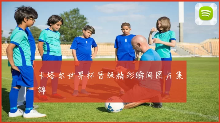 卡塔尔世界杯晋级精彩瞬间图片集锦