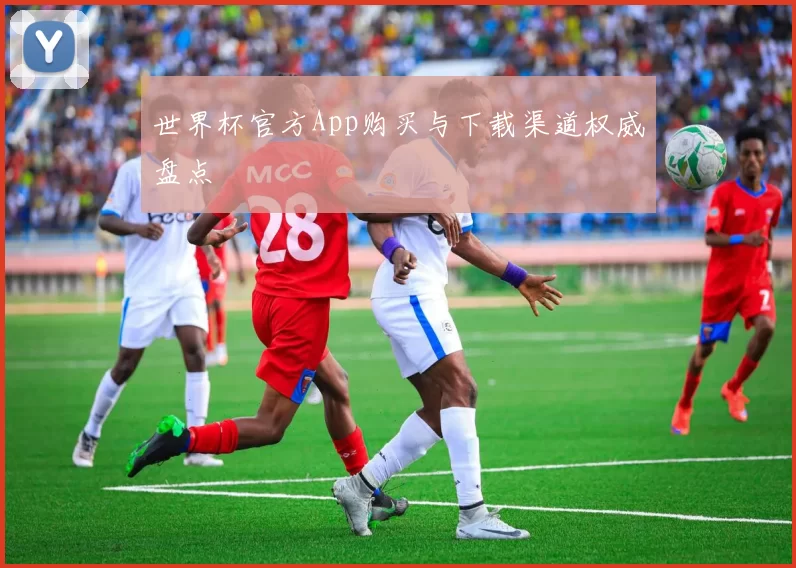 世界杯官方App购买与下载渠道权威盘点