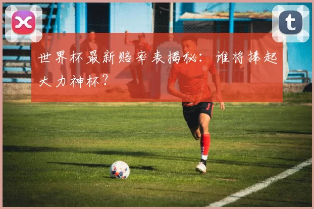 世界杯最新赔率表揭秘：谁将捧起大力神杯？