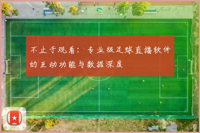 不止于观看：专业级足球直播软件的互动功能与数据深度