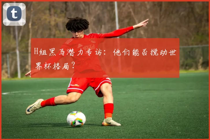 H组黑马潜力专访:他们能否搅动世界杯格局?