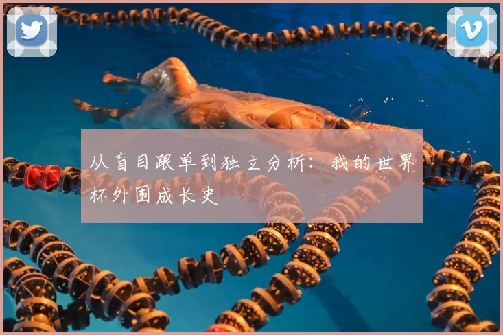 从盲目跟单到独立分析：我的世界杯外围成长史
